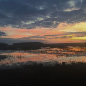 Meet your Posher, Sidney